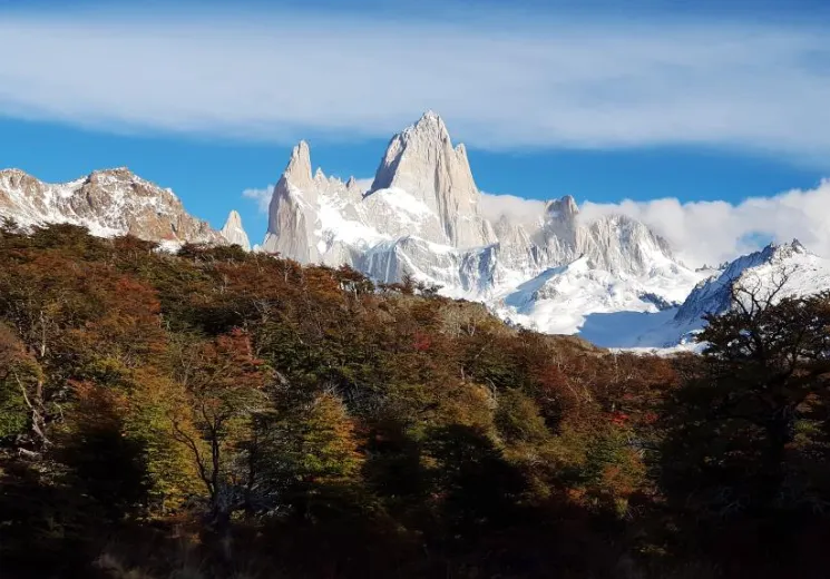 Captura de pantalla 2024-08-28 081700
