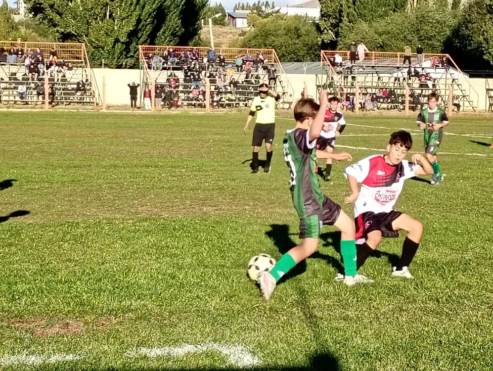 WhatsApp Image 2026-03-27 at 11.15.05 PM