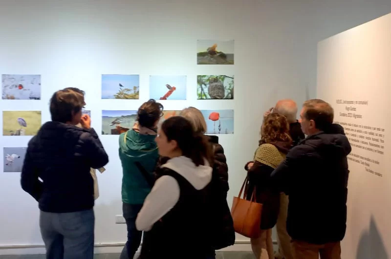 09C2DA24-0476-40A5-836E-6274F6FB9CE0