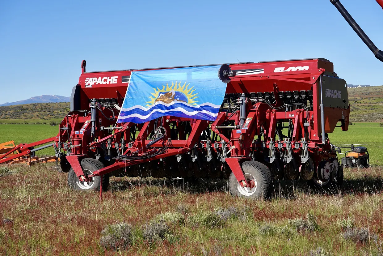 Vidal_Estancia_Alice_4