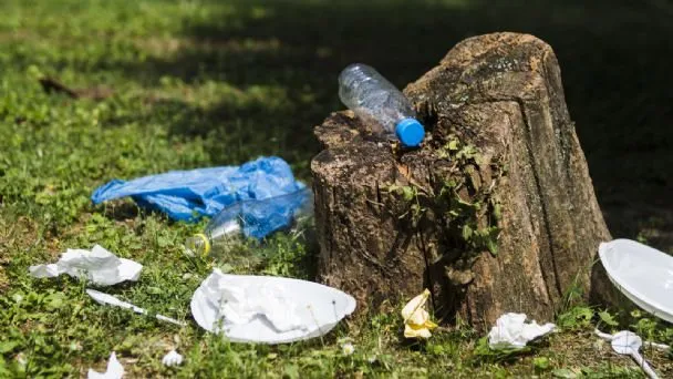 f608x342-75540_105263_31