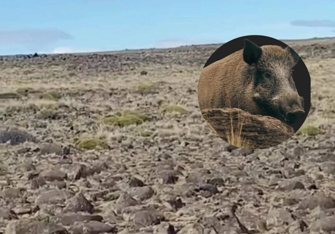 WhatsApp Image 2026-03-27 at 10.08.33