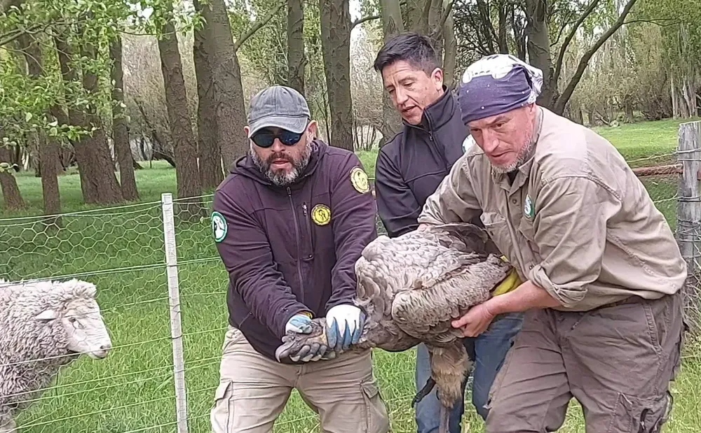 583862862_1269230718567890_5576402798009174699_n