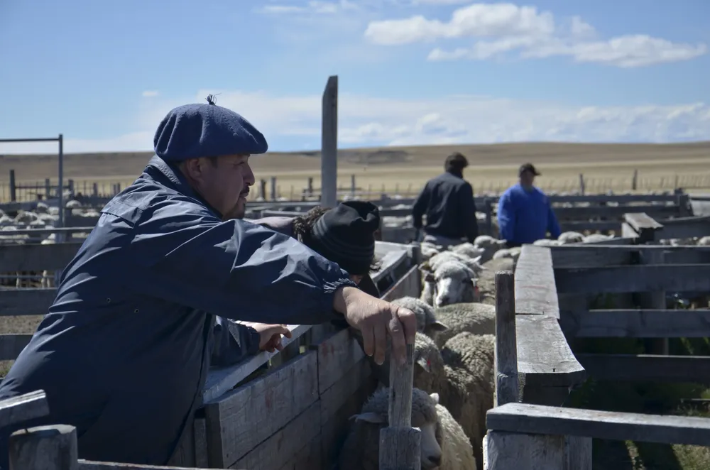 INTA Para Nota Encuesta IMPACTAR (4)