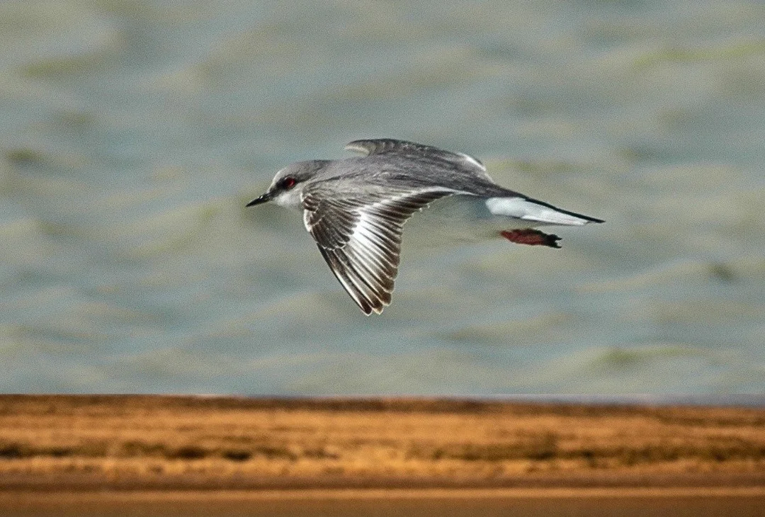 669346185_1385685720263308_3026457989110597683_n