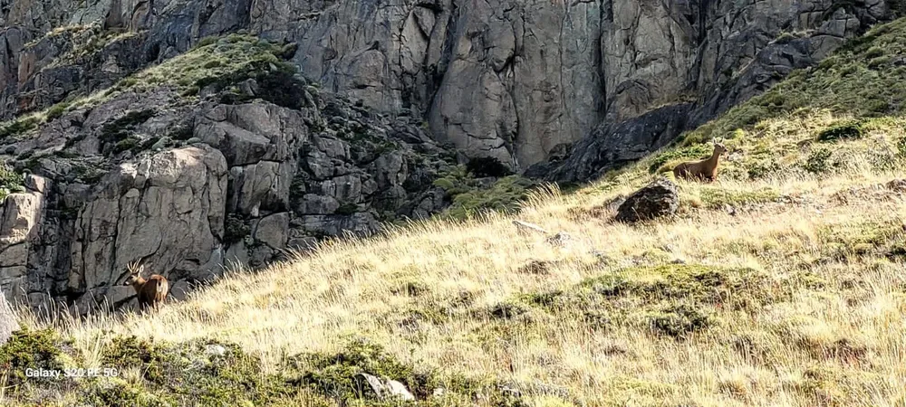 638851051_916347487431336_9080109444140028149_n