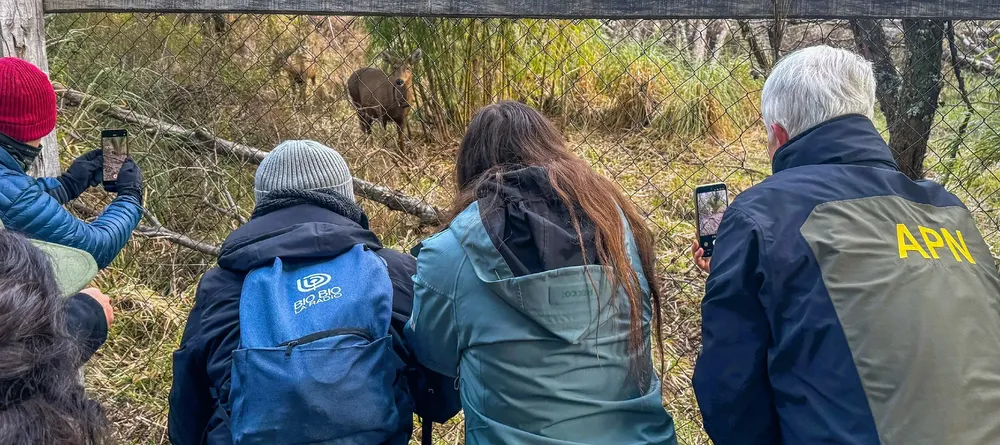 Huilo Huilo - Sebastian Di Martino  - Agosto 2025-7~1