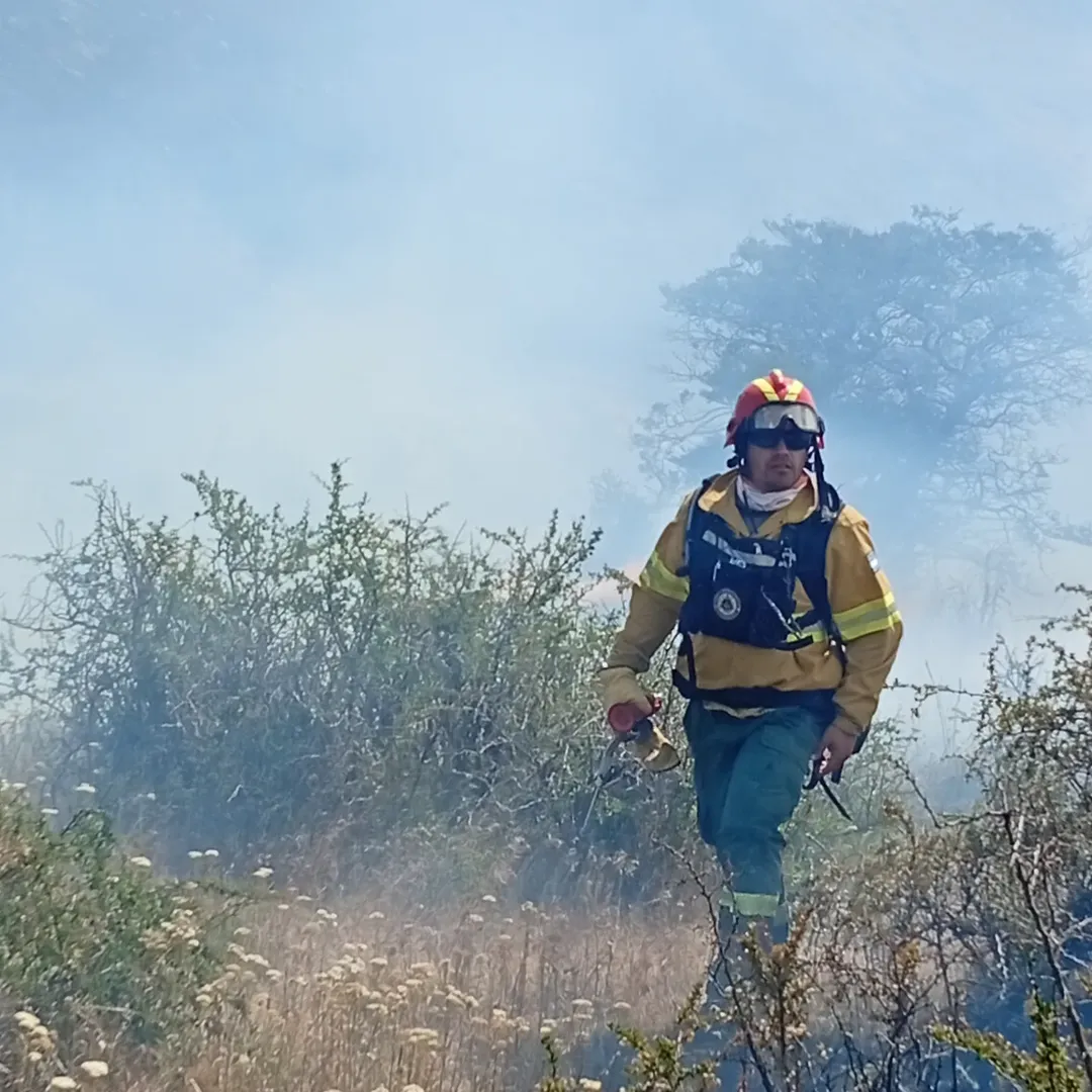 Algunas imagenes de los ultimos dias en el incendio ........@pn_losglaciares (1)