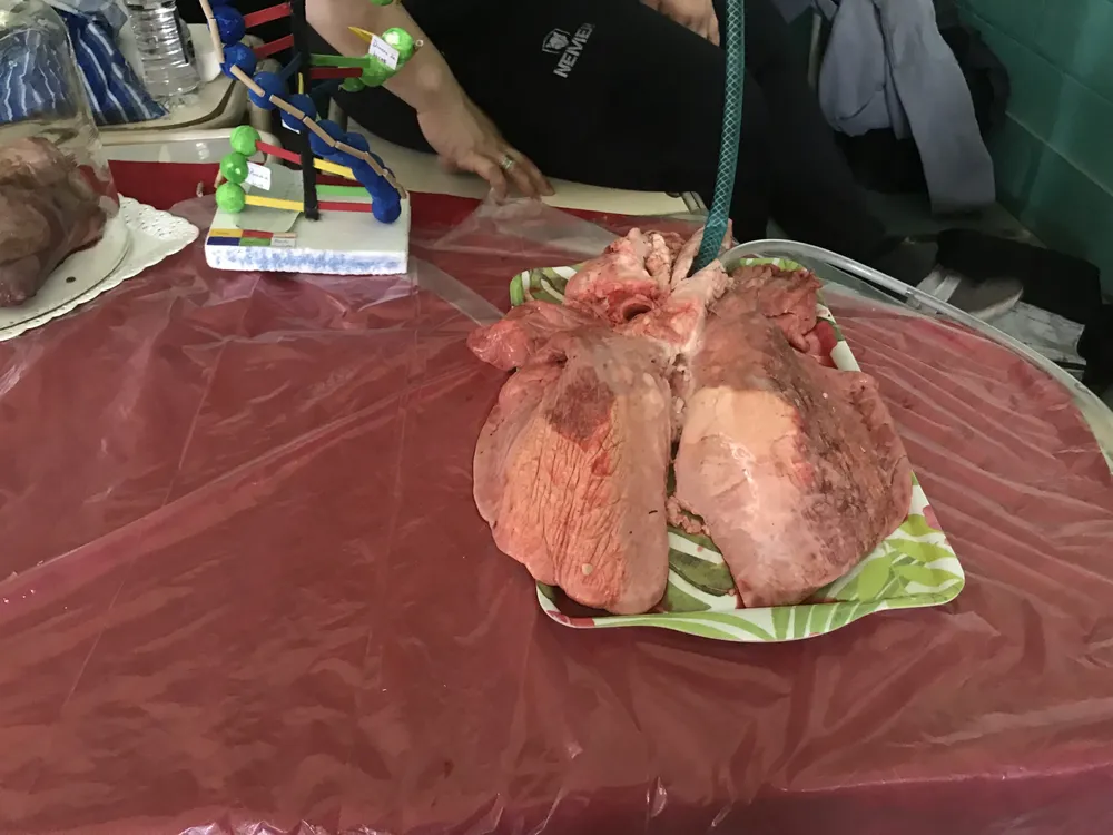 03EF81C5-67E3-436C-B690-8A972525E951