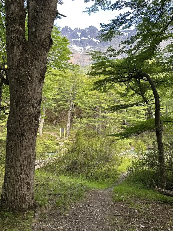 Sendero en el valle del río de Las Vueltas~1