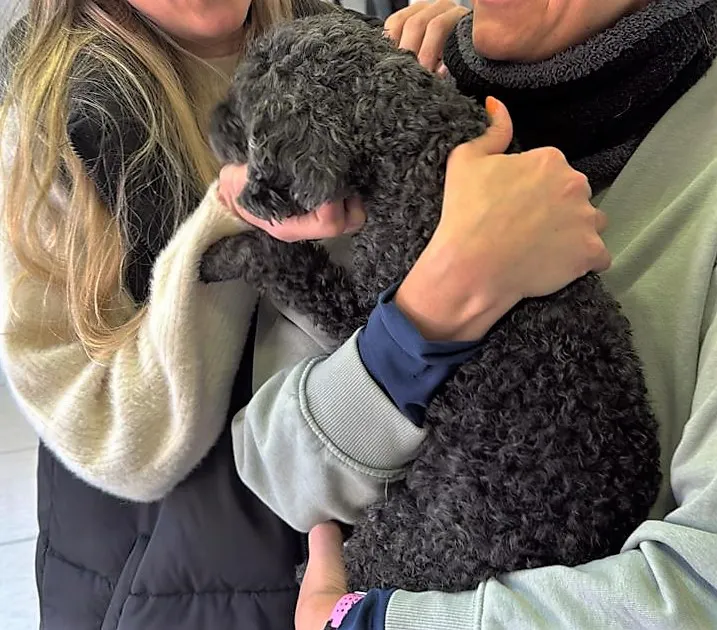 WhatsApp Image 2025-09-17 at 20.29.51