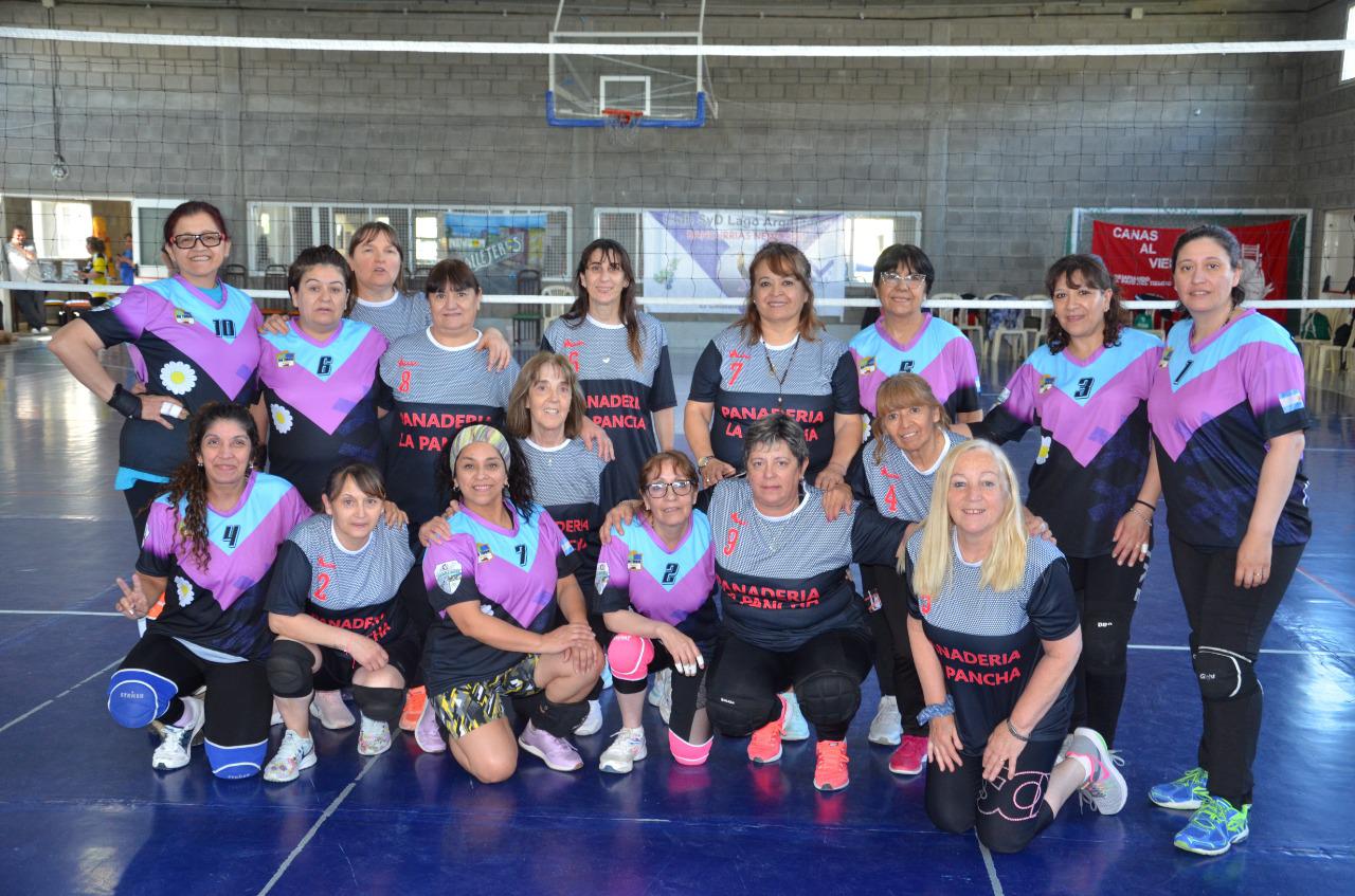 Newcom Joven Labrador