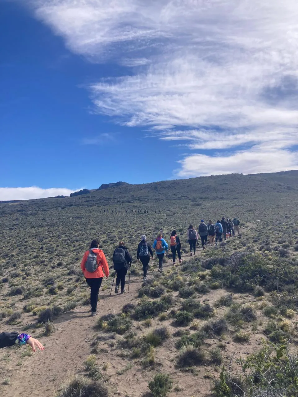 Imagen de WhatsApp 2024-11-08 a las 14.52.55_d82392f3