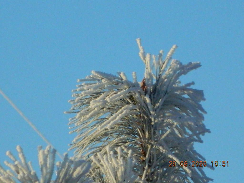 La Esperanza Helada 6