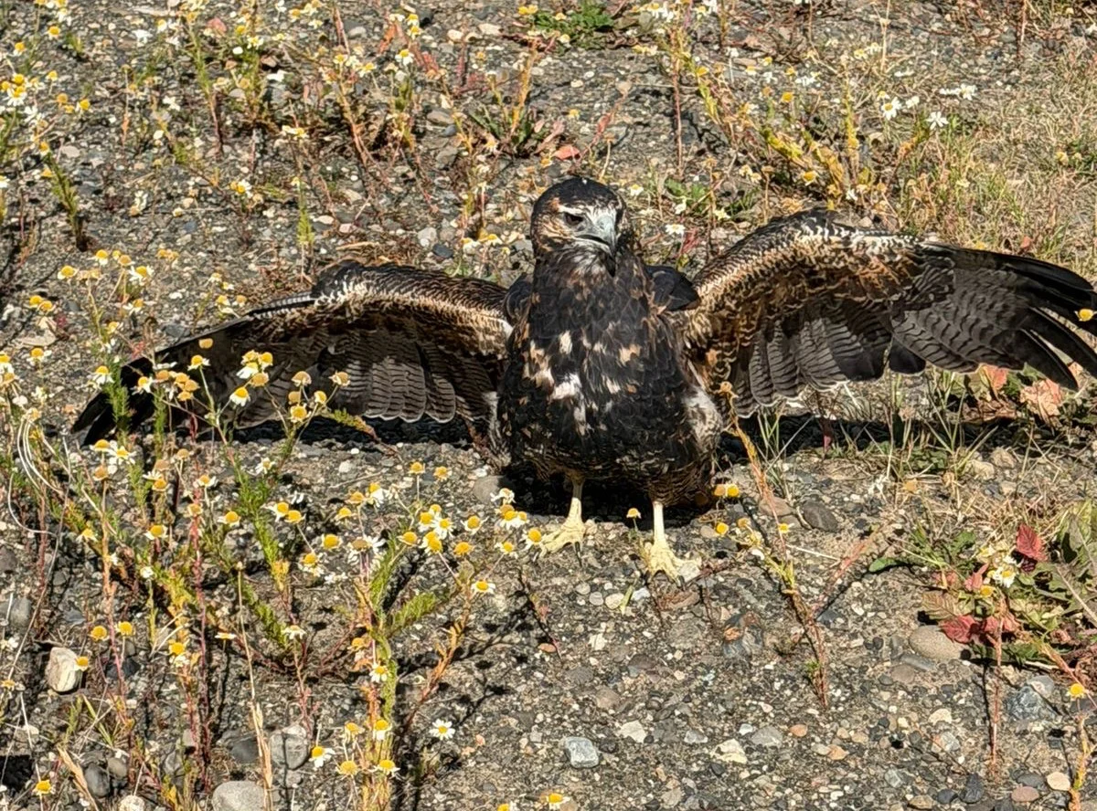 820852b0-3657-4ce9-956f-01a6130de6f6