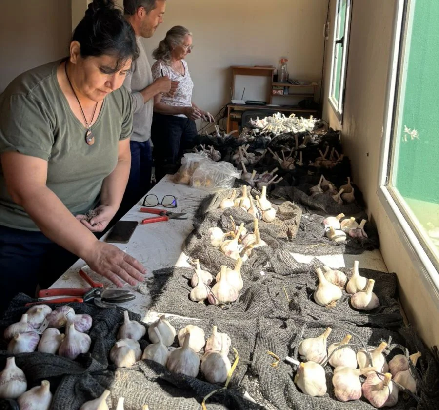 94746be430af6ca0a711677b528dc14f_XL