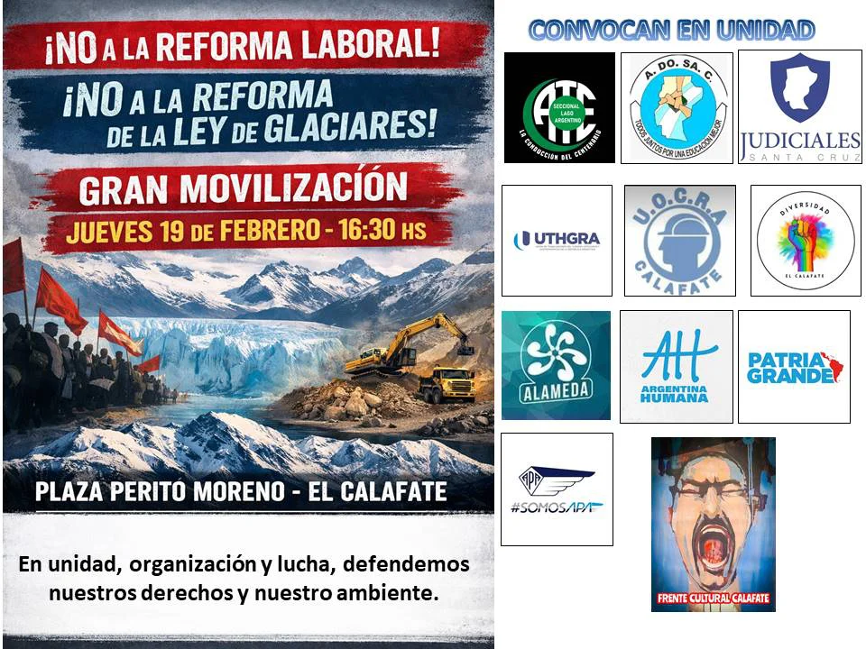 WhatsApp Image 2026-02-18 at 16.52.03