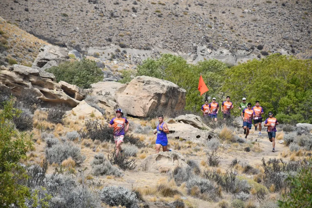 WhatsApp Image 2026-02-22 at 3.46.39 PM