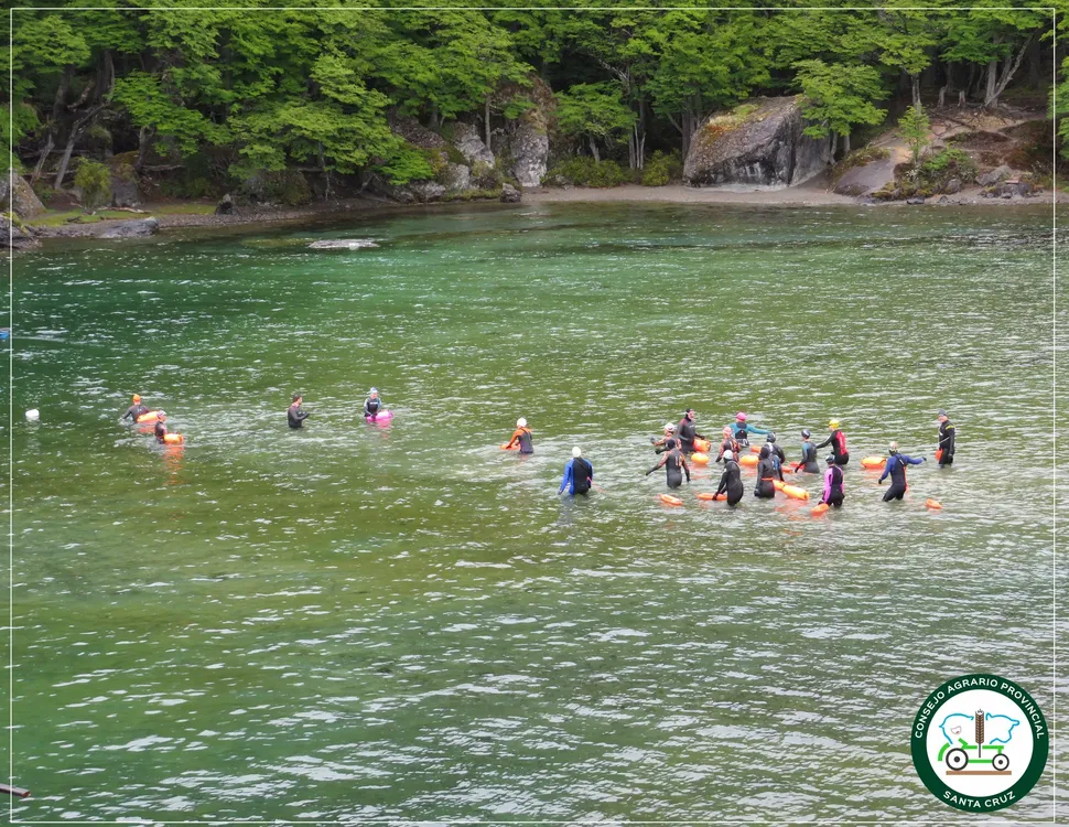 Nado lago del Desierto