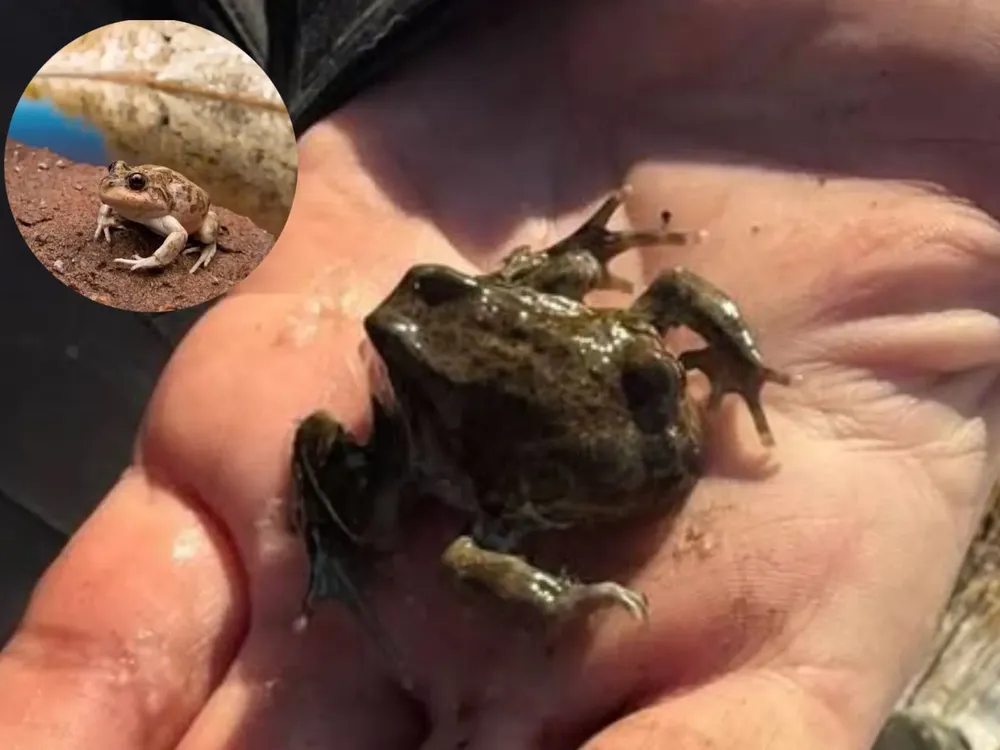 WhatsApp Image 2025-08-09 at 14.14.19