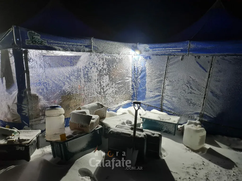 nieve estancia anita paleontologica~1