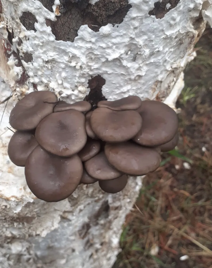 5EF7AA5C-364A-436C-A656-E075D0A73604