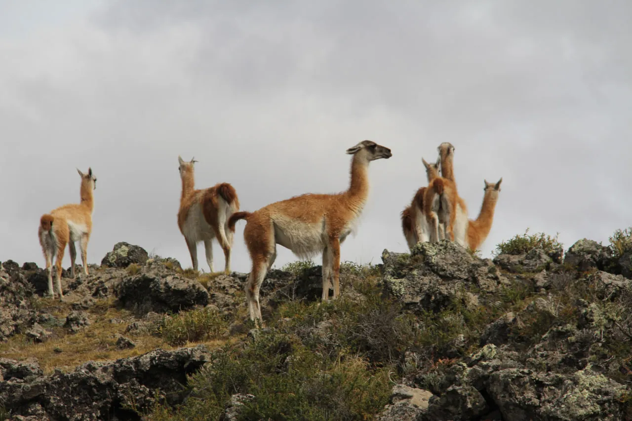 WhatsApp Image 2023-06-12 at 15.06.14 (1)