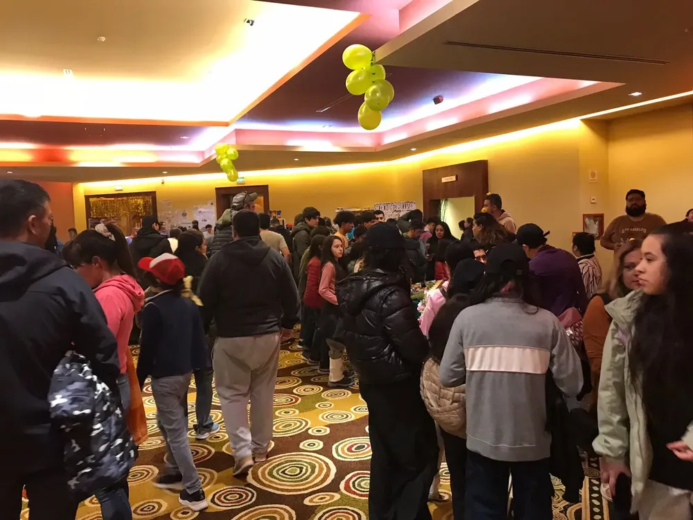 WhatsApp Image 2024-06-10 at 18.41.52