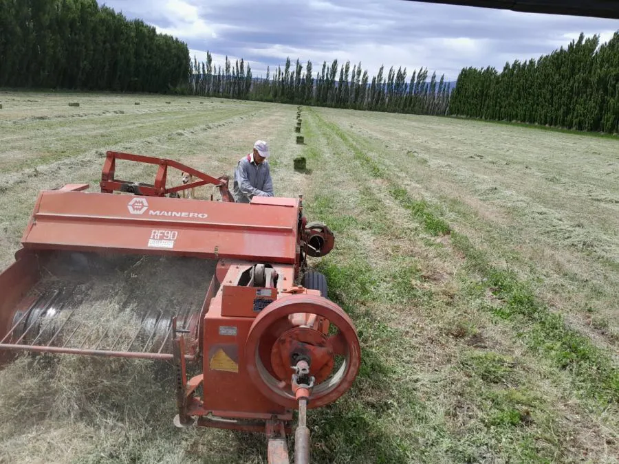 d36a3dbb6590af4a2f2f2b27df8ad66e_XL