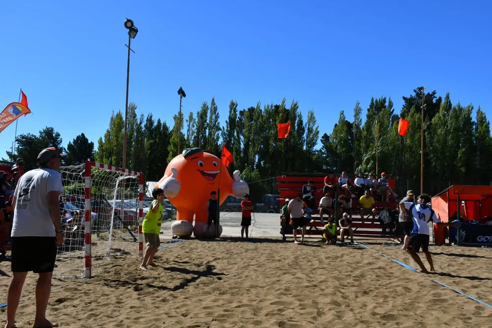 WhatsApp Image 2026-02-07 at 18.31.10 (1)