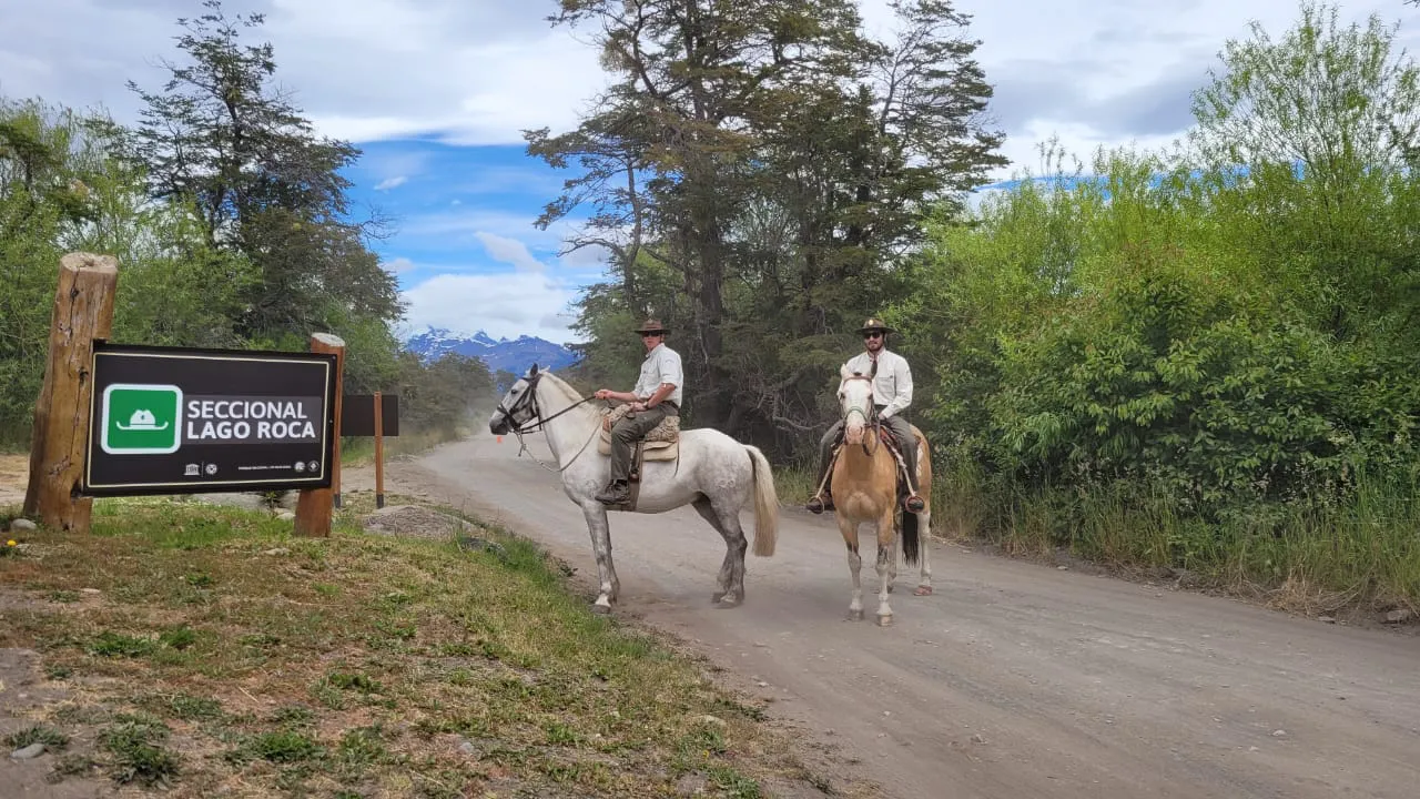 WhatsApp Image 2024-12-20 at 12.07.36