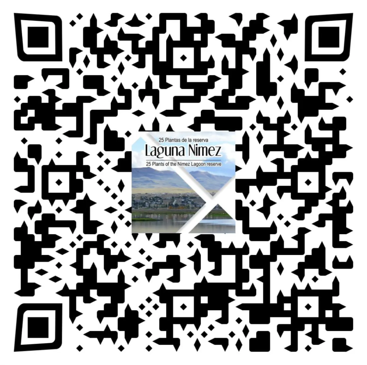 A205598E-3A31-4878-950B-F83569C81351