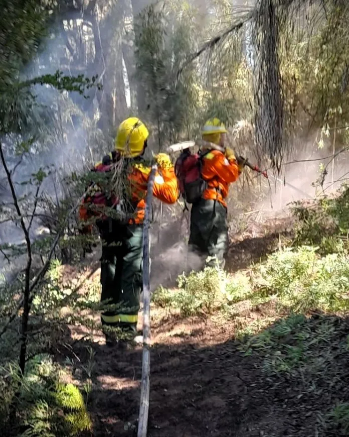 brigadistas de CAP santa Cruz3