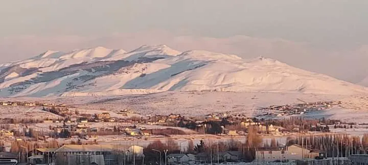 FB_IMG_1690380108450