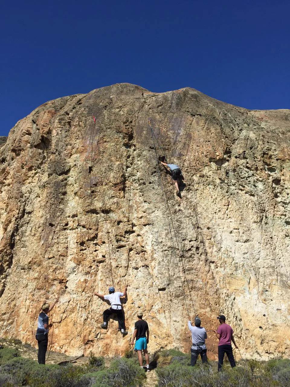 WhatsApp Image 2023-06-23 at 11.46.15