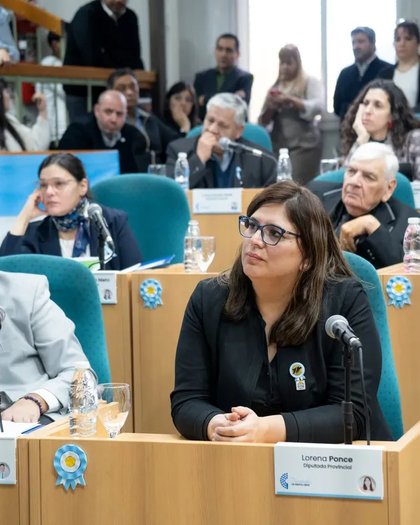 DIPUTADOS UP