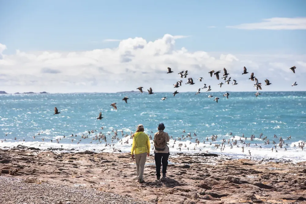 Estrella_H _A3A1482ALTA