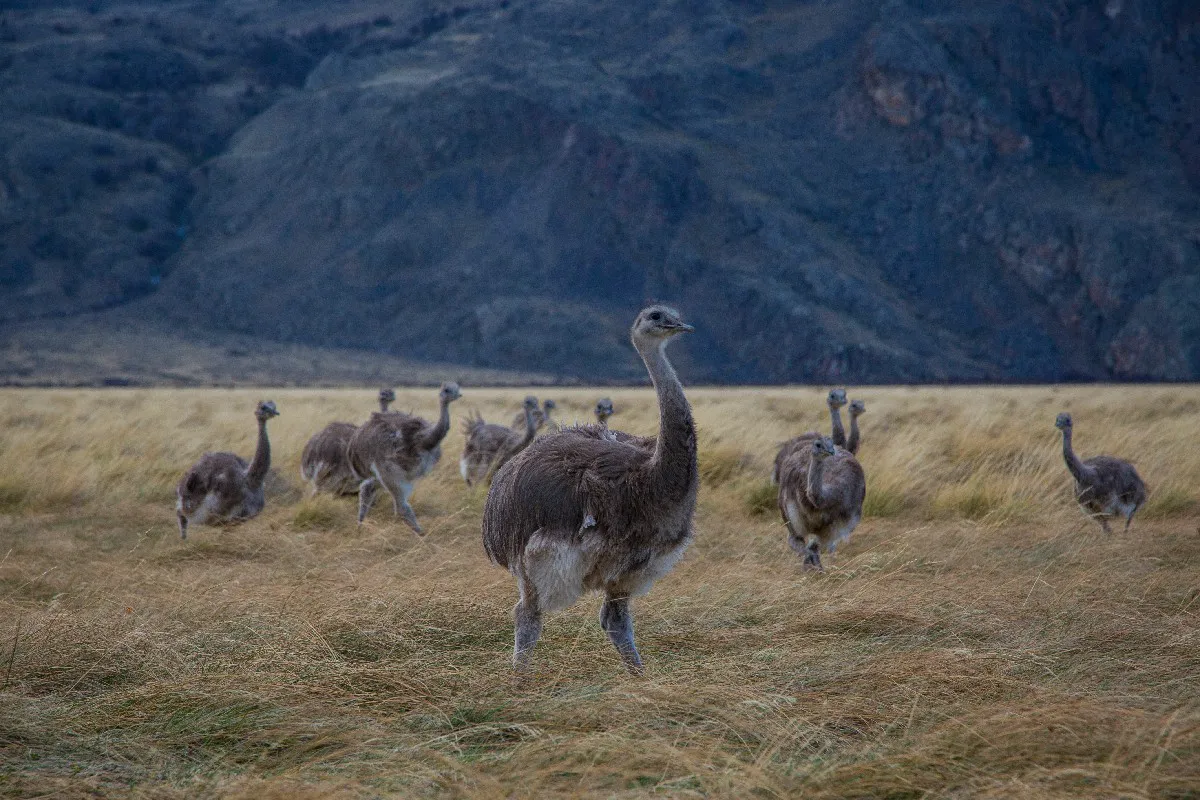jamesalfaroliberacioncharitosmayo202330~1