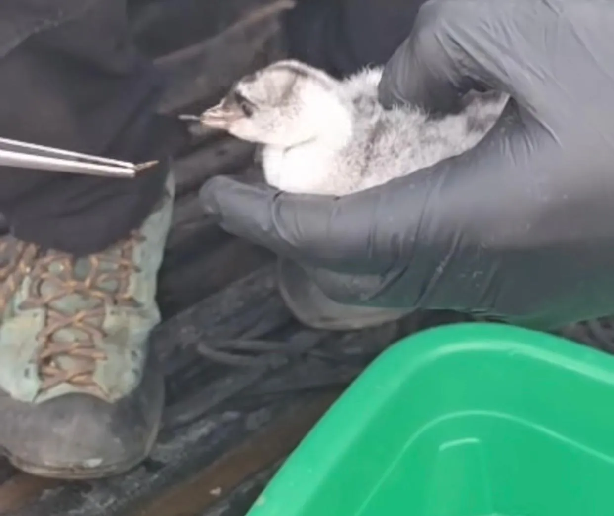 WhatsApp Image 2026-01-25 at 17.52.28(1)