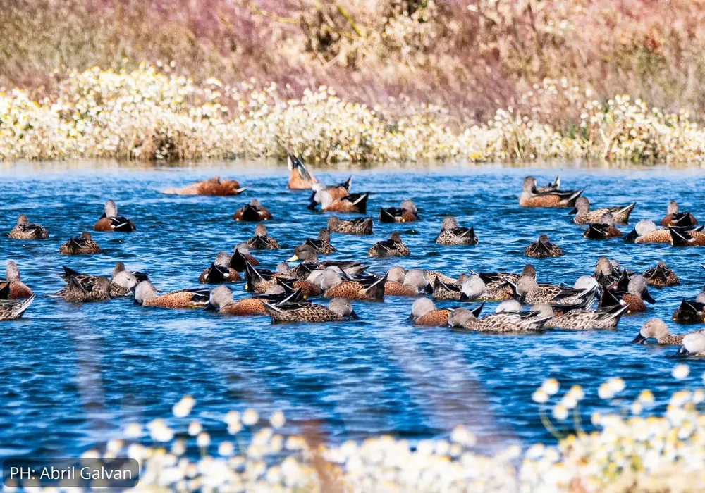 2CA58F9F-C60E-4772-9AB6-65D9DD555156