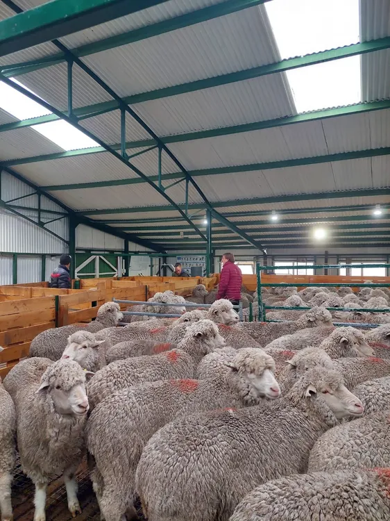 WhatsApp Image 2023-08-07 at 08.30.08 (1)