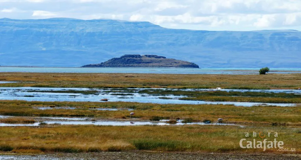 92C50E6F-1EEA-4330-ACA0-88D126765914