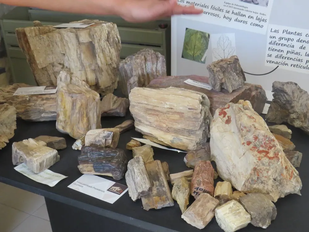 490324335_1064216792408018_7153429321626424242_n