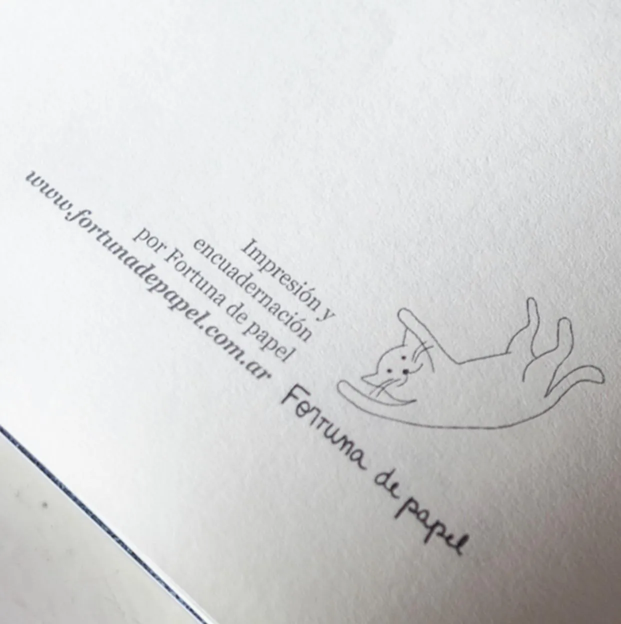 WhatsApp Image 2025-03-27 at 08.09.53(2)