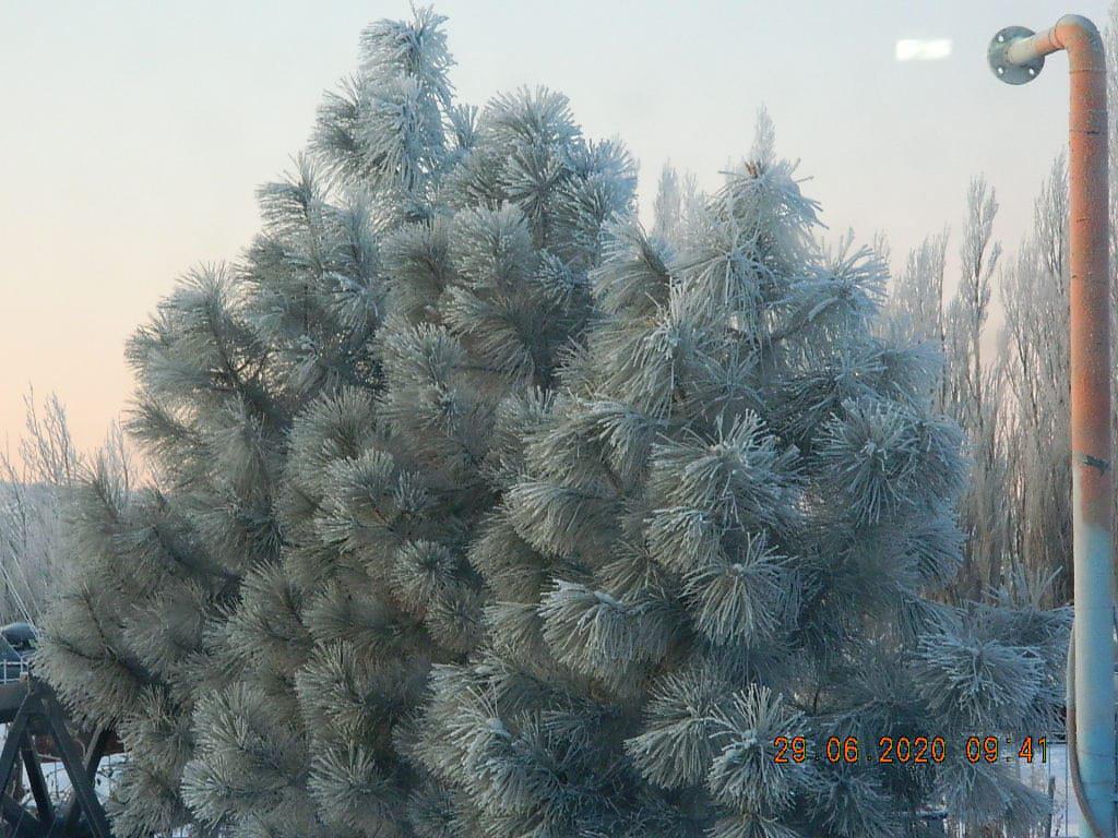 La Esperanza Helada 4