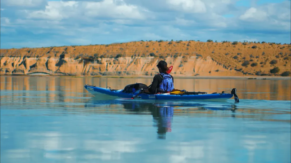 WhatsApp Image 2026-01-12 at 14.10.57