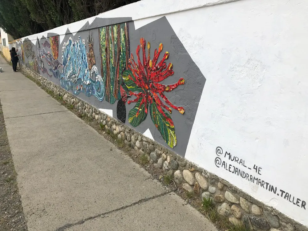 WhatsApp Image 2025-01-05 at 18.03.39