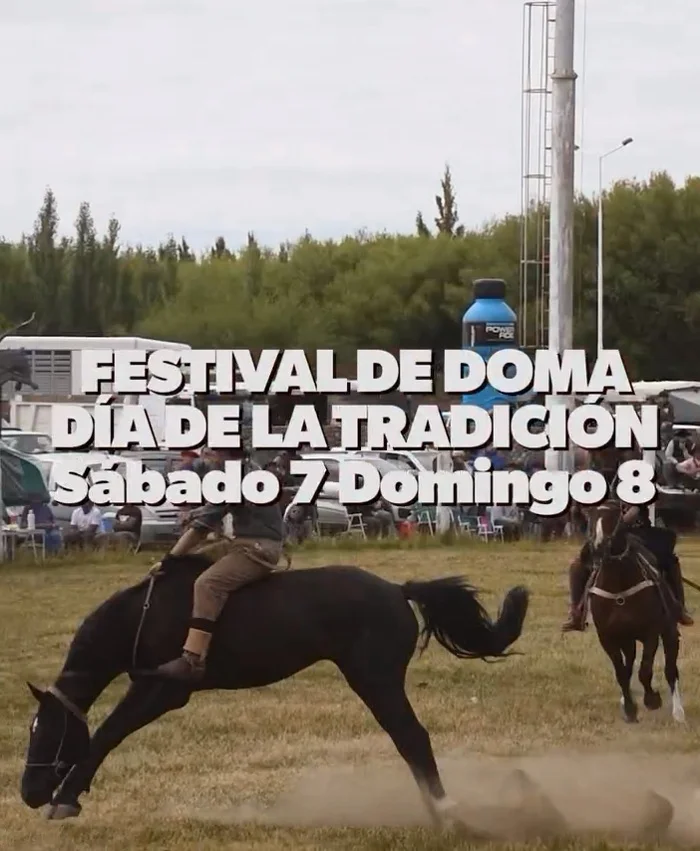 Festival de doma