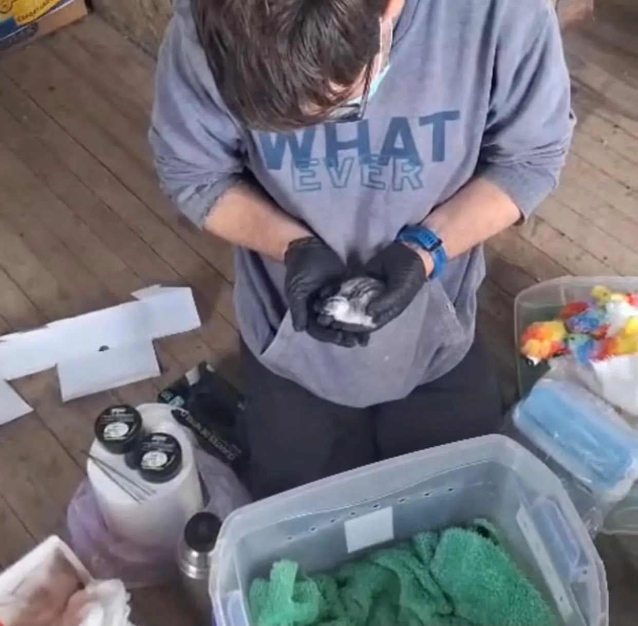 WhatsApp Image 2026-01-25 at 17.52.28