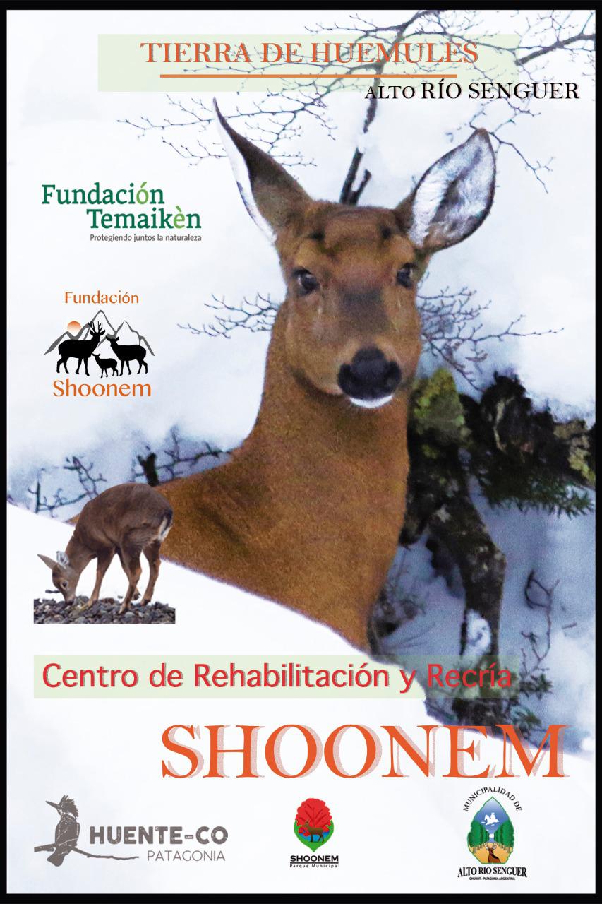 WhatsApp Image 2022-09-15 at 17.21.15 (3)